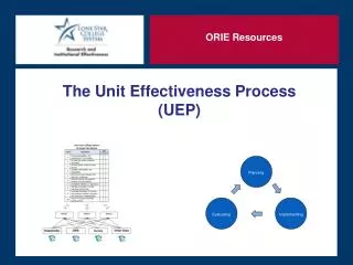 The Unit Effectiveness Process (UEP)