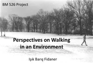 Perspectives on Walking in an Environment