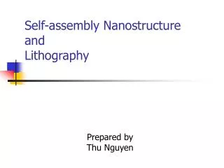 Self-assembly Nanostructure and Lithography