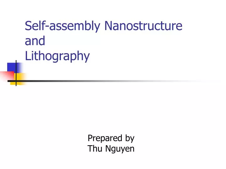 self assembly nanostructure and lithography