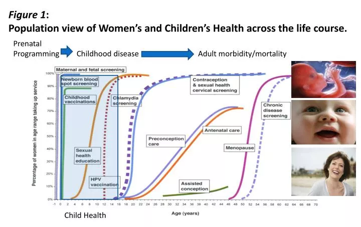 figure 1 population view of women s and children s health across the life course