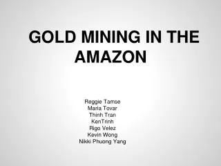 GOLD MINING IN THE AMAZON
