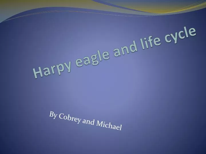 harpy eagle and life cycle