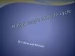 Harpy eagle and life cycle - slide 1