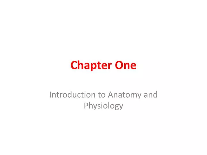 chapter one