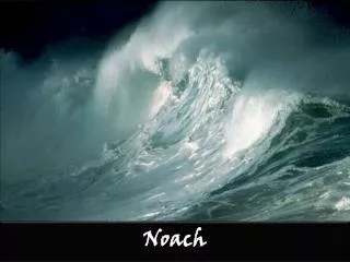 noach