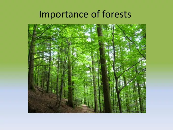 importance of forests