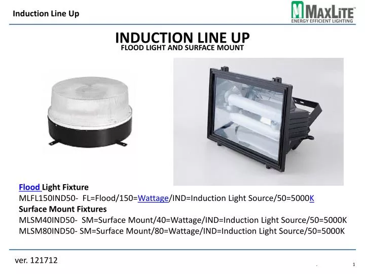 induction line up flood light and surface mount