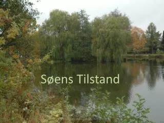 s ens tilstand