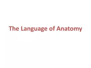 The Language of Anatomy