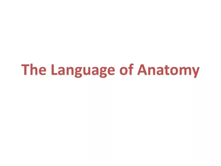 the language of anatomy