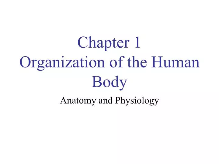 chapter 1 organization of the human body