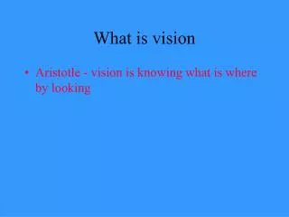 What is vision