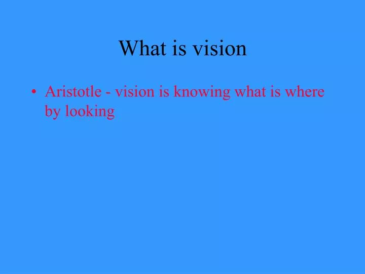 what is vision