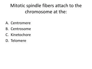 Mitotic spindle fibers attach to the chromosome at the: