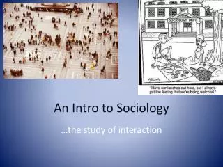 An Intro to Sociology