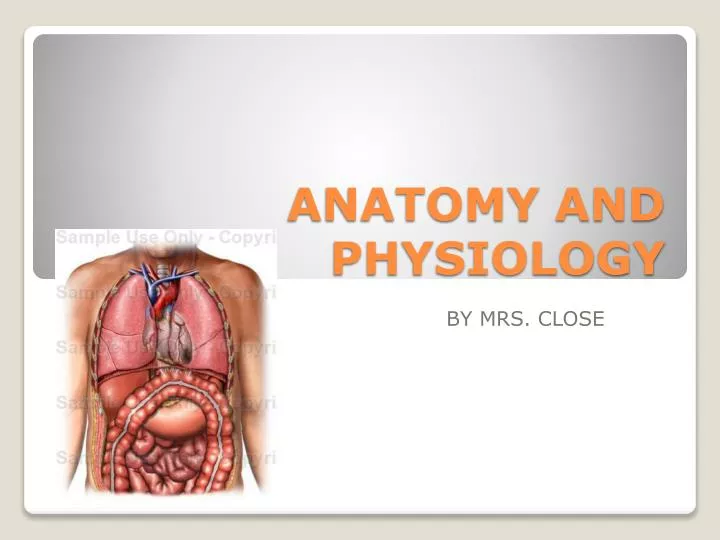 anatomy and physiology