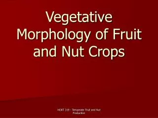 Vegetative Morphology of Fruit and Nut Crops