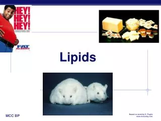 lipids