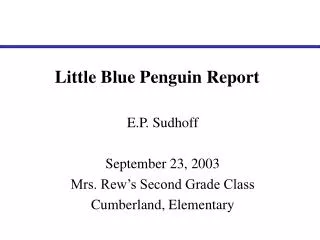Little Blue Penguin Report