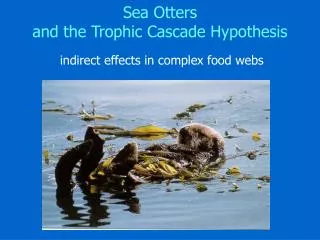 Sea Otters and the Trophic Cascade Hypothesis