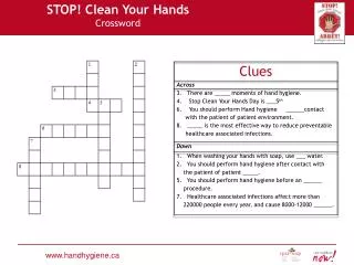 STOP! Clean Your Hands Crossword