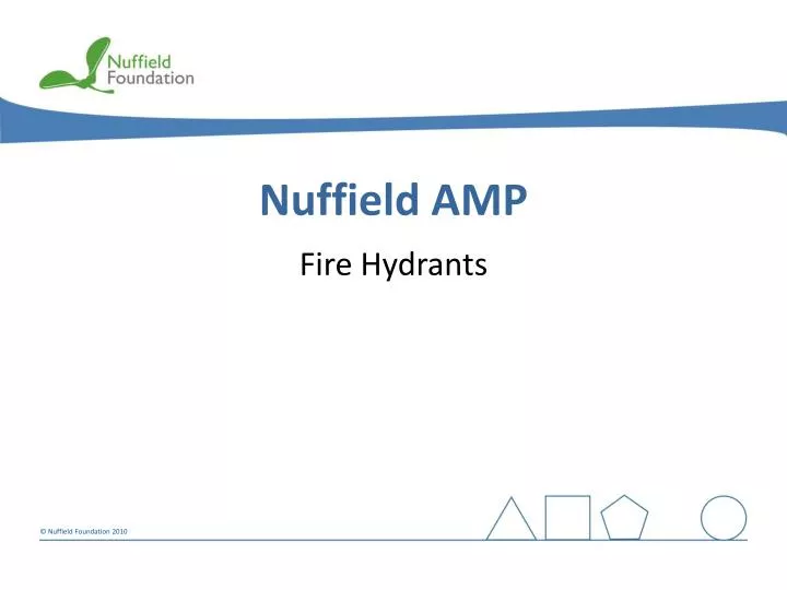 nuffield amp