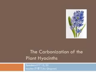 The Carbonization of the Plant Hyacinths