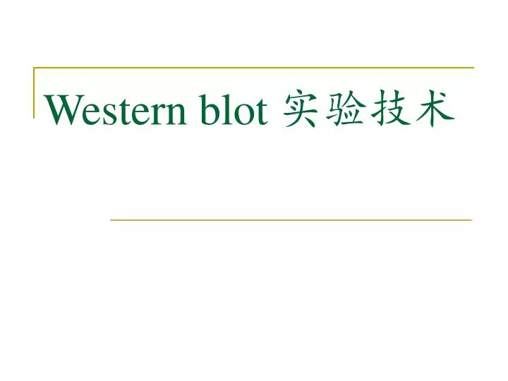 western blot