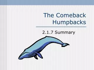 The Comeback Humpbacks