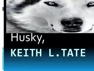 husky