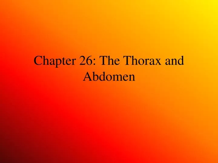 chapter 26 the thorax and abdomen
