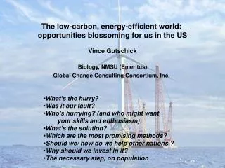 The low-carbon, energy-efficient world: opportunities blossoming for us in the US Vince Gutschick