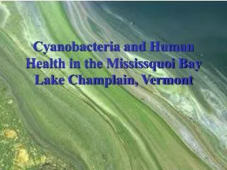 Cyanobacteria and Human Health in the Mississquoi Bay Lake Champlain, Vermont