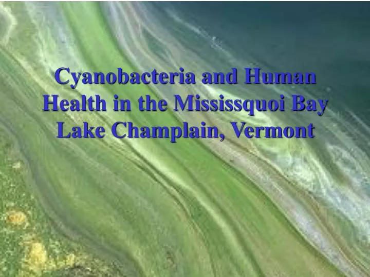 cyanobacteria and human health in the mississquoi bay lake champlain vermont