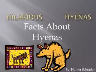 hilarious hyenas