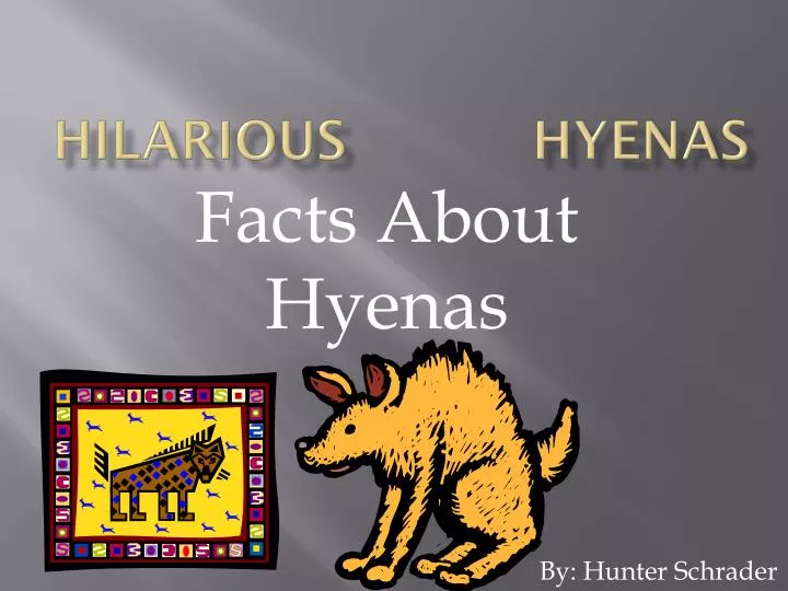 hilarious hyenas