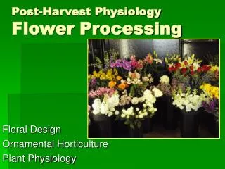Post-Harvest Physiology Flower Processing