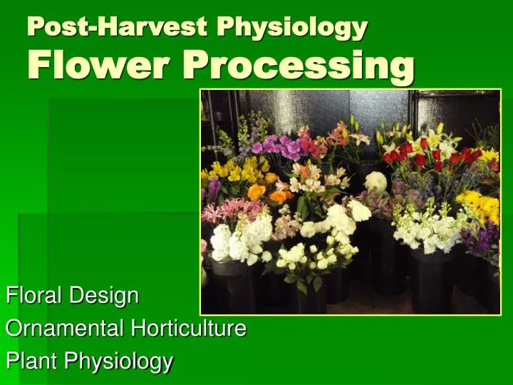 post harvest physiology flower processing