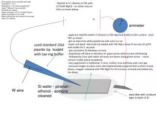 1Dp230 at 5:1 dilution in TAE with 12.5mM MgCl2 - on either mica or SiOn as shown below