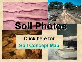 Soil Photos