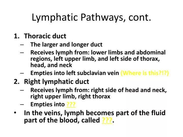 lymphatic pathways cont