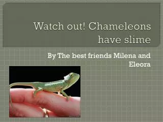 Watch out! Chameleons have slime