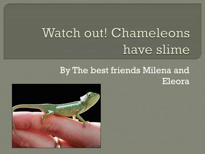 watch out chameleons have slime