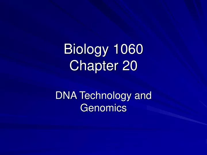 biology 1060 chapter 20