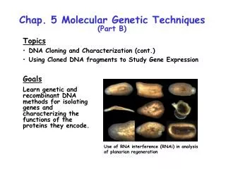 Chap. 5 Molecular Genetic Techniques (Part B)