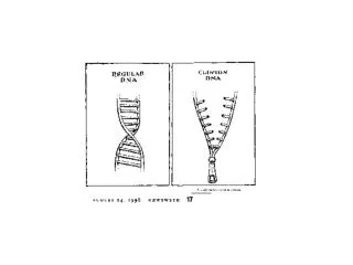 DNA: Review, Replication, &amp; Analysis