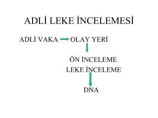 adl leke ncelemes