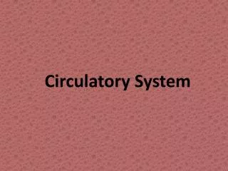 circulatory system