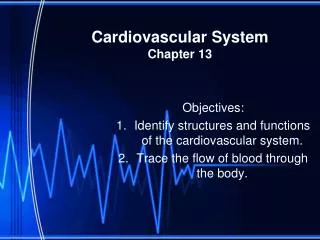 Cardiovascular System Chapter 13